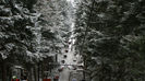DSC09539