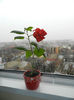 DSCN8953