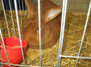 Picture 2094