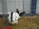 Picture 2095