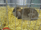 Picture 2101