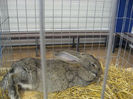 Picture 2111