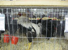 Picture 2119