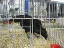 Picture 2135