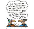 asasini-cu-cotiere-18344534