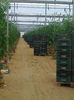 Foto0136