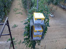 IMG20121222_007