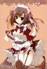 yande.re 205618 cleavage ebiten garter_belt inugami_kira maid nopan stockings thighhighs todayama_iz