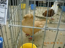 My pictures 012