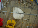 My pictures 021