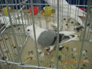 My pictures 023