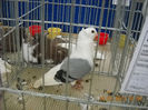 My pictures 024