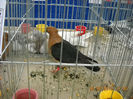 My pictures 026