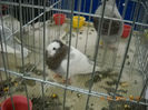 My pictures 028