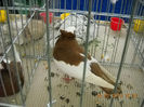 My pictures 029