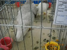 My pictures 032