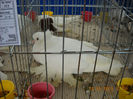 My pictures 034