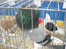 My pictures 037