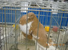 My pictures 038