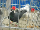 My pictures 044