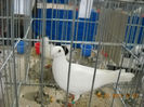 My pictures 046