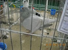 My pictures 048