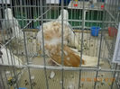 My pictures 049