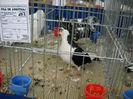 My pictures 056