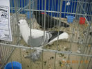 My pictures 058