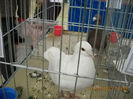 My pictures 061