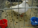 My pictures 066