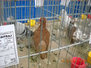 My pictures 068