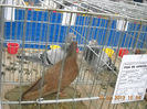My pictures 069