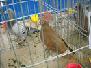 My pictures 070