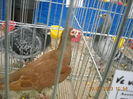 My pictures 071
