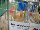 My pictures 072