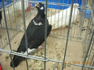 My pictures 073
