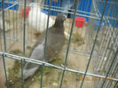 My pictures 074