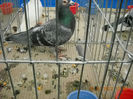 My pictures 075