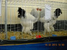 My pictures 080