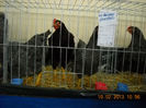 My pictures 084