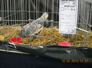 My pictures 092