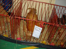 My pictures 096