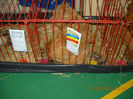 My pictures 097
