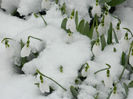 DSCN4879