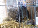 SDC15879