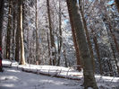 DSCF5431