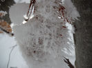 DSCF5433