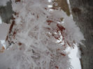 DSCF5435