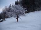 DSCF5491